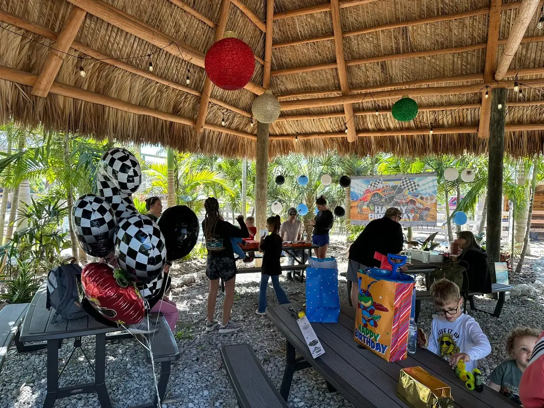 A birthday party set up under the thatched tiki hut with balloons, picnic tables and palms all around