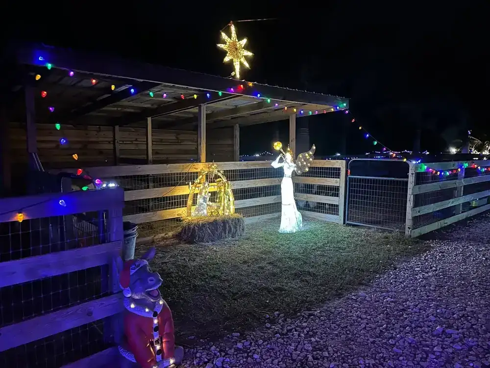 A lit nativity scene and angel in the animal barn