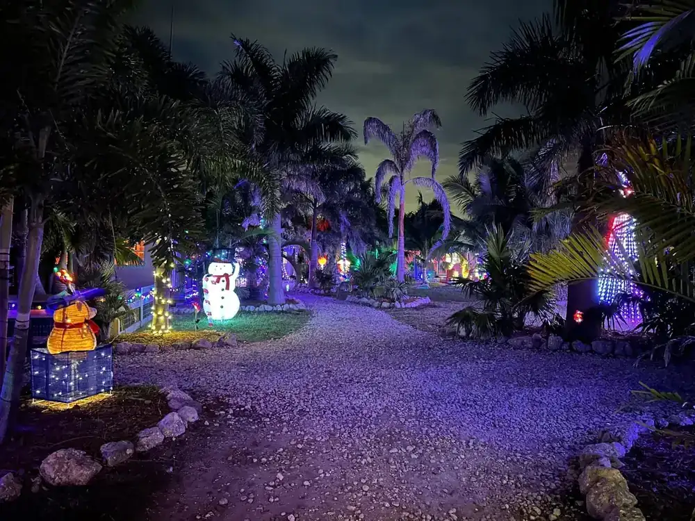 The gravel path through the farm lit purple and blue with Christmas lights