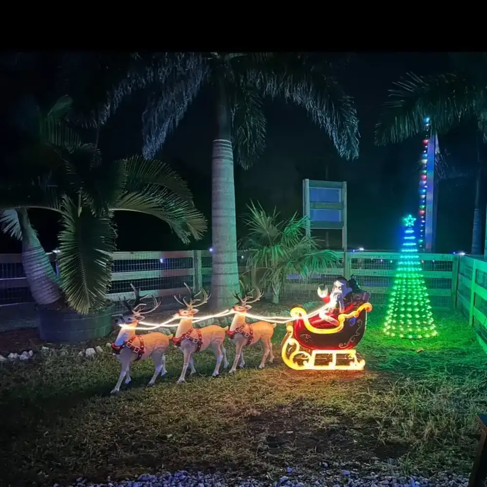 A lit Santa sleigh and reindeer under the palms